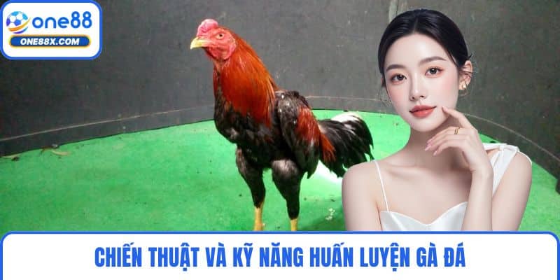 Chiến thuật và kỹ năng huấn luyện gà đá