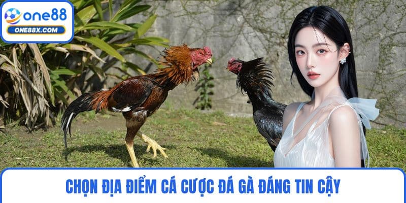 Chọn địa điểm cá cược đá gà đáng tin cậy