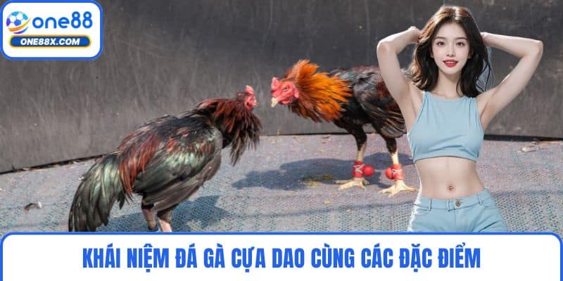 Khái niệm đá gà cựa dao cùng các đặc điểm