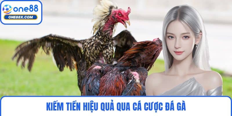 Kiếm tiền hiệu quả qua cá cược đá gà