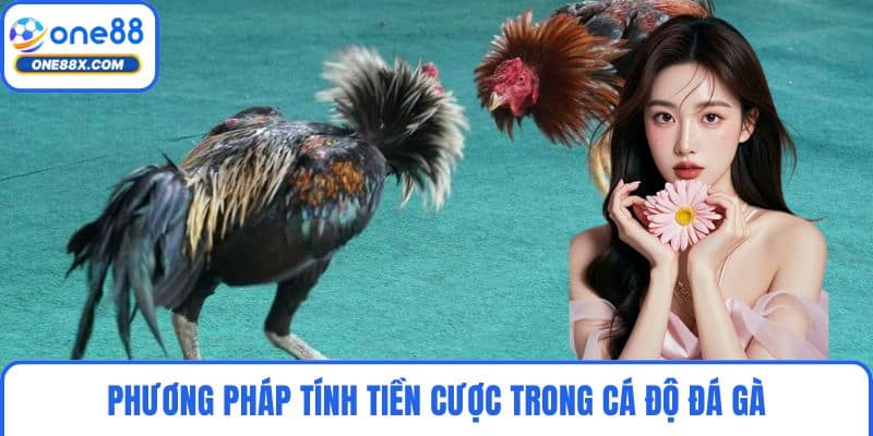 Phương pháp tính tiền cược trong cá độ đá gà