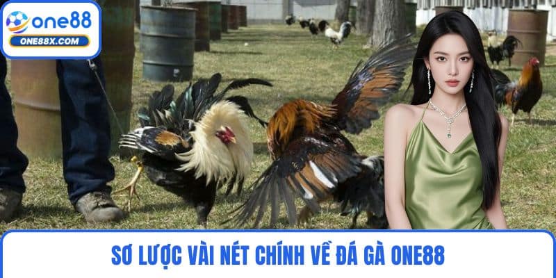 Sơ lược vài nét chính về đá gà ONE88
