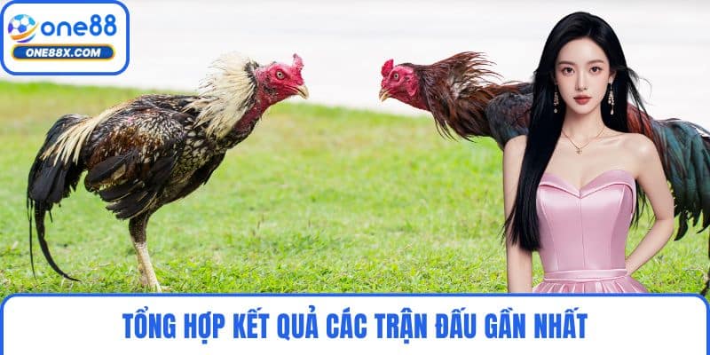 Tổng hợp kết quả các trận đấu gần nhất