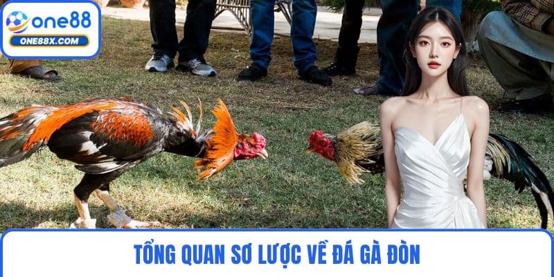 Tổng quan sơ lược về đá gà đòn