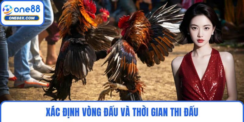 Xác định vòng đấu và thời gian thi đấu